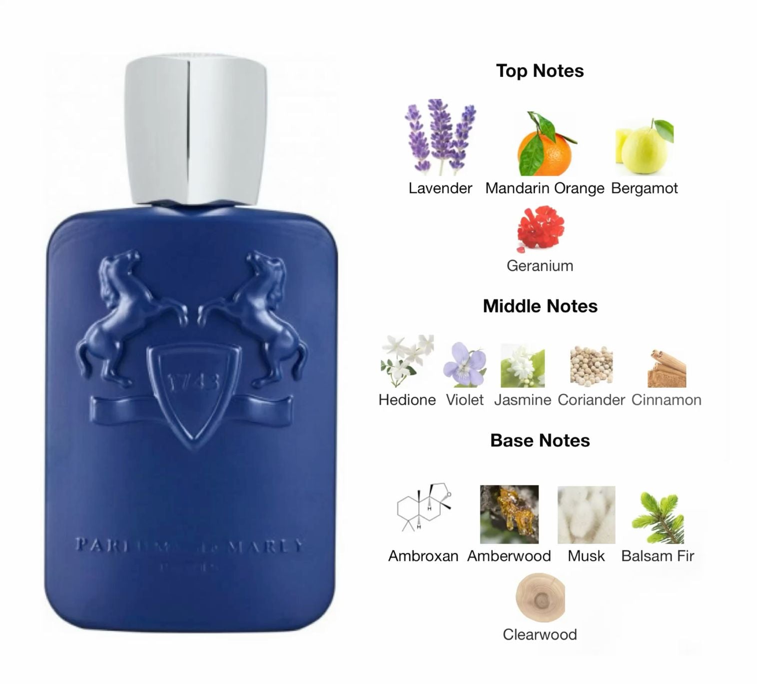 Percival by Parfums de Marly – Eau de Parfum (125ml)