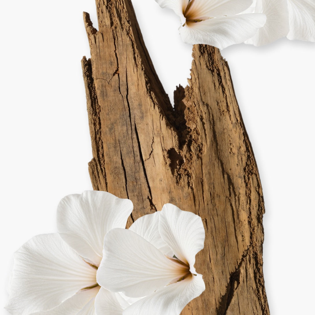 Valaya Hair Mist Parfums de Marly – 75ml